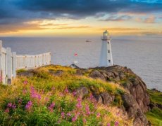 NEWFOUNDLAND – bájný vikingský Vinland