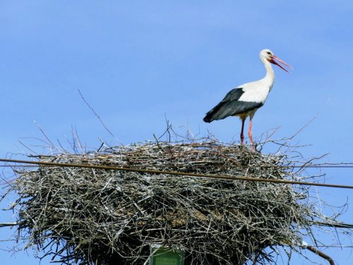 STOCKHOLM, TALLINN, RIGA a národní parky Pobaltí