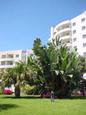 Hotel Jardins D'Ajuda