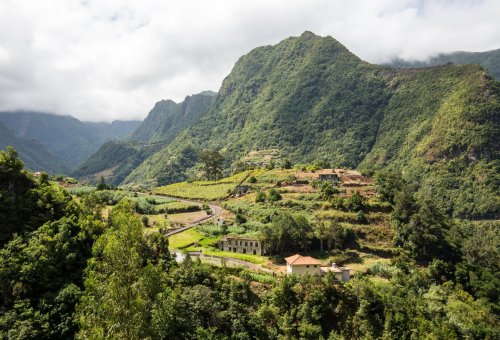 YOUNG & ACTIVE MADeira MADness