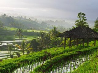 Na Bali k moři i do vnitrozemí Na Bali k moři i do vnitrozemí