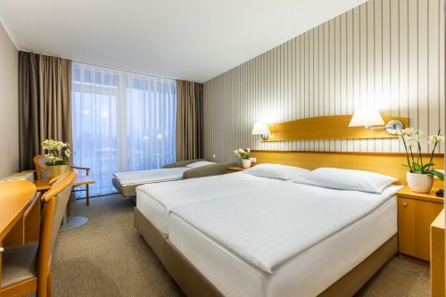 Hotel Termal