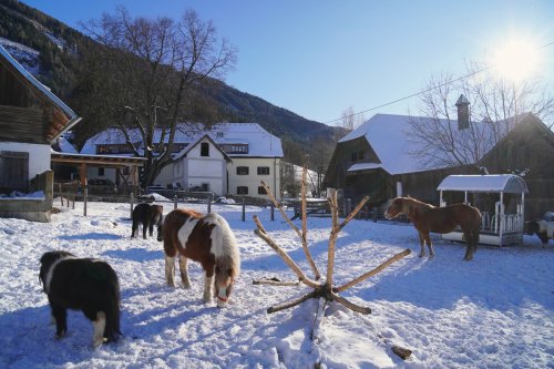 Familienbauernhof Glawischnig-Hofer