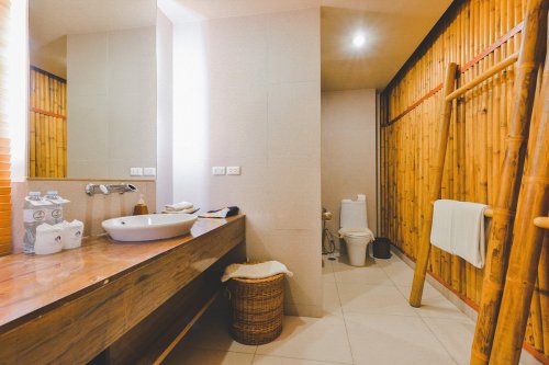 Hotel Twin Lotus Resort and SPA