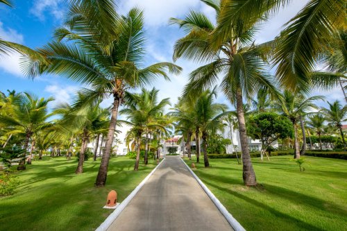 Hotel Occidental Punta Cana