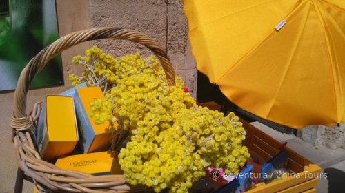 Provence levandulová na kole