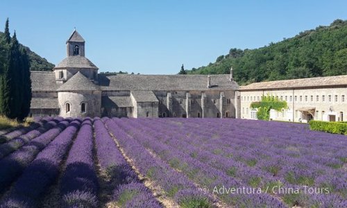 Provence levandulová na kole
