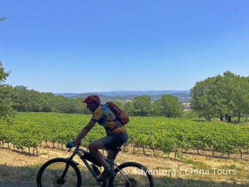 Provence levandulová na kole