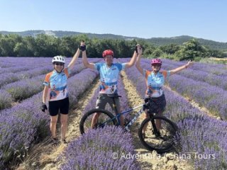 Provence levandulová na kole Provence levandulová na kole