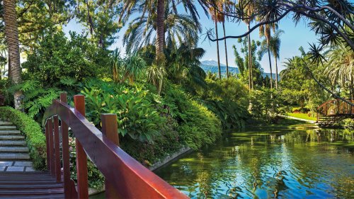 Hotel Botanico