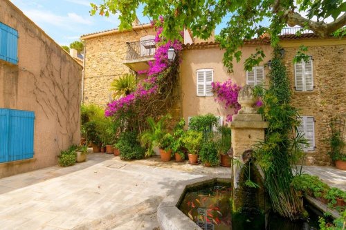 Levandulová Provence