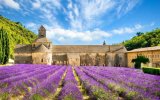 Katalog zájezdů - Francie, Levandulová Provence