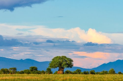 Tanzanie: africká dramata koloběhu života s českým průvodcem