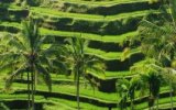 Katalog zájezdů, Bali a Lombok všemi smysly