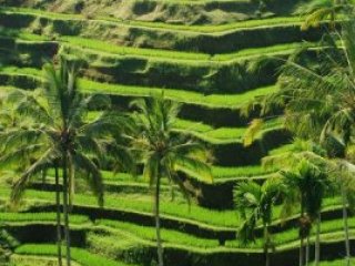Bali a Lombok všemi smysly Bali a Lombok všemi smysly