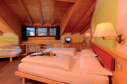 Alpin Haus Smart & Family Hotel