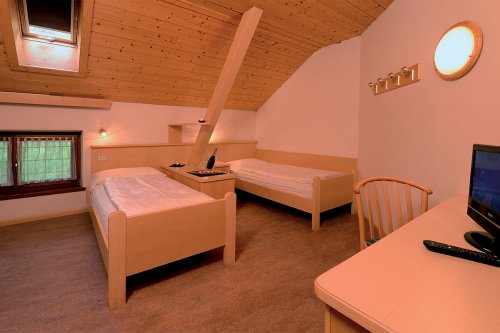 Alpin Haus Smart & Family Hotel