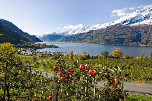 BERGEN A KRÁLOVSTVÍ FJORDŮ