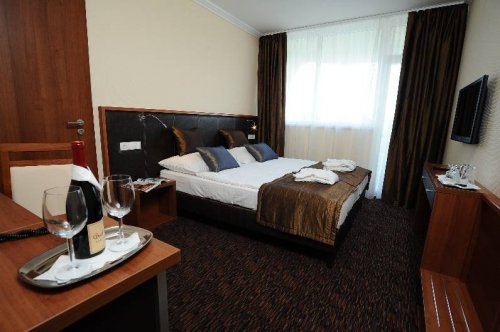 Hotel Eger