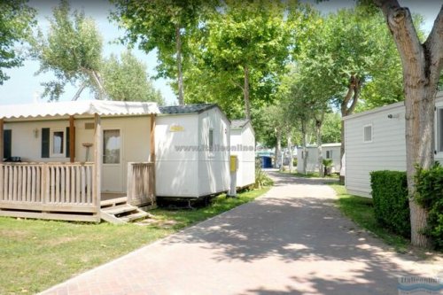 Camping Oasi