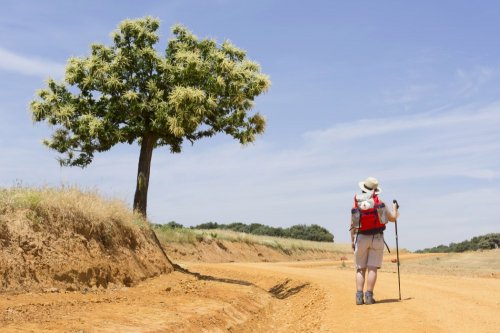 Na křižovatce Stříbrné a Svatojakubské cesty