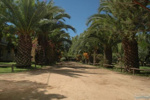 Camping Iscrixedda