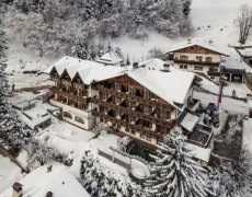 Hotel Alpenhof
