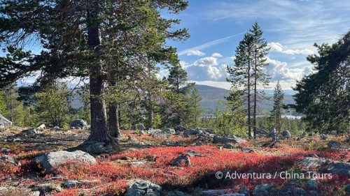 Okružní treking norsko-švédským pomezím
