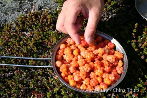Okružní treking norsko-švédským pomezím